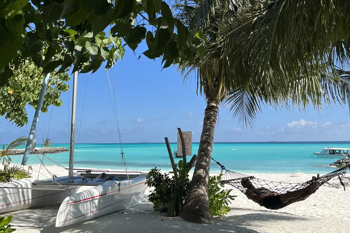 Strand auf Fulidhoo, Malediven – Hängematte zwischen Palmen